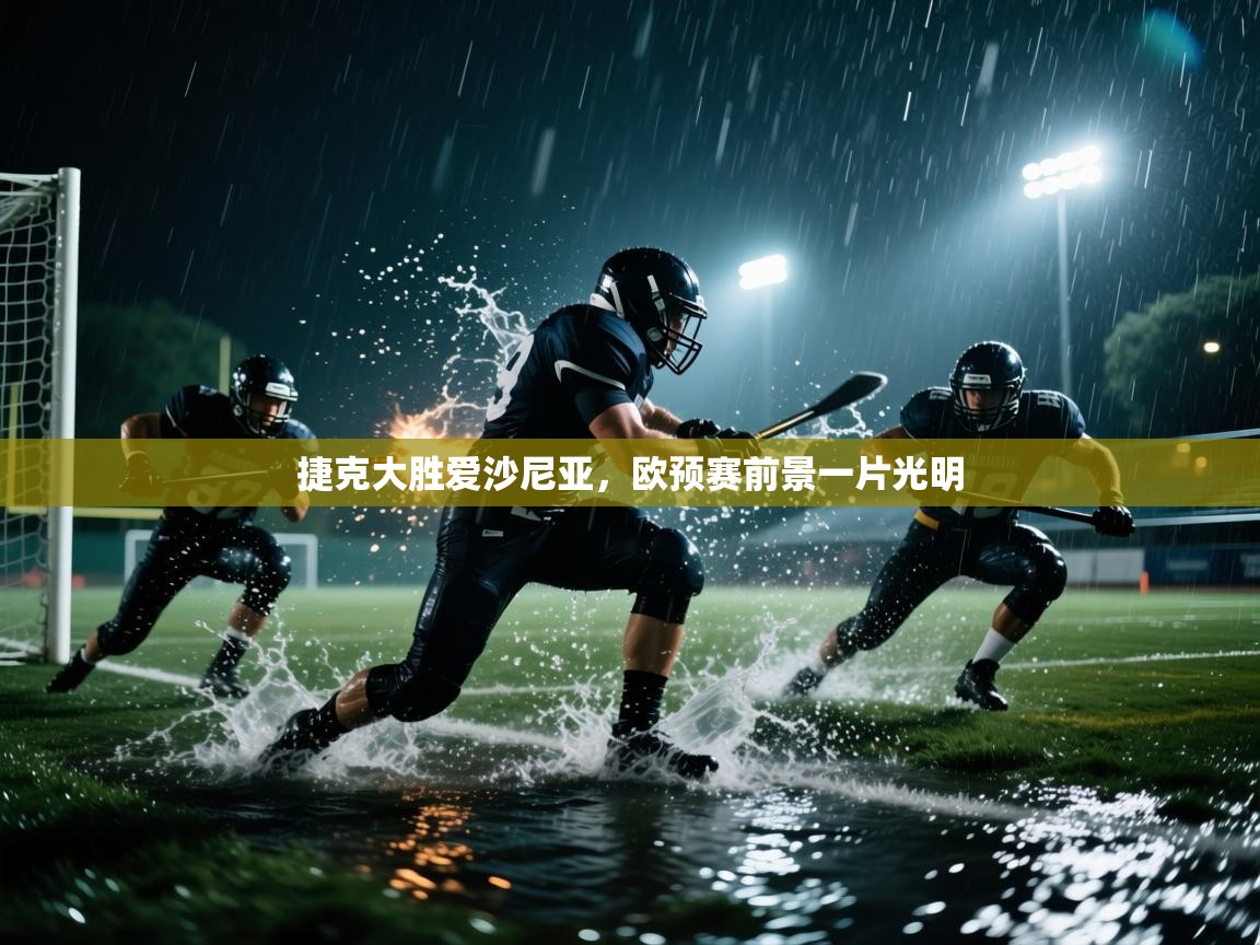 捷克大胜爱沙尼亚，欧预赛前景一片光明  第1张