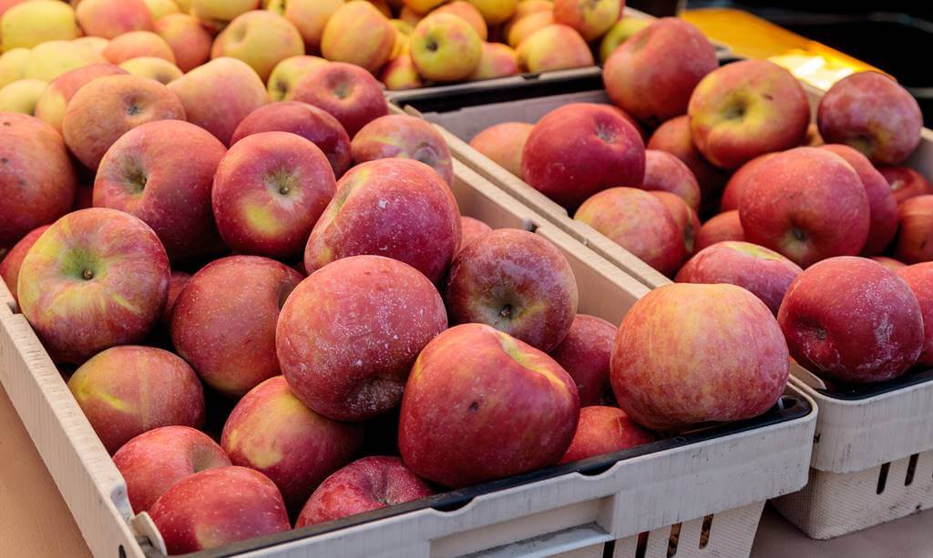 爱游戏网站入口-加拿大选手表现抢眼，收获丰硕果实的简单介绍